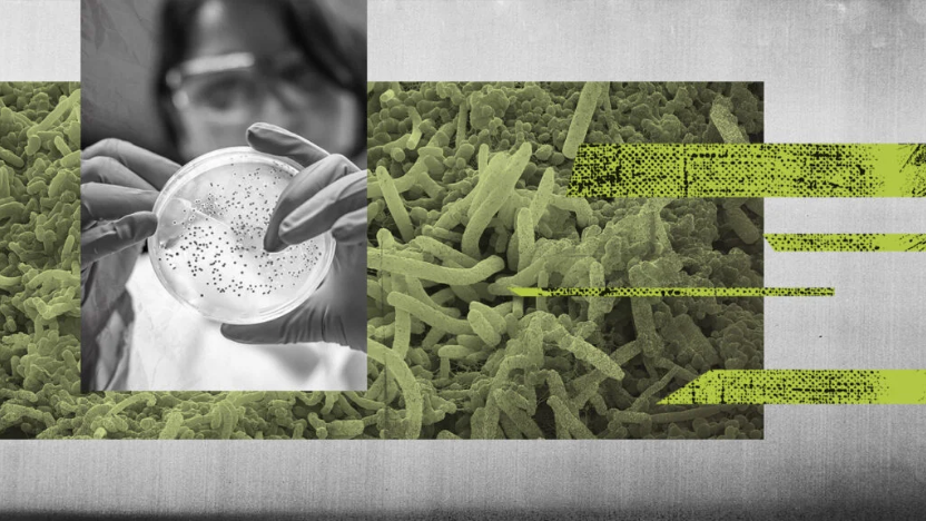 Microbiome